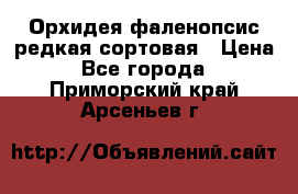 Орхидея фаленопсис редкая сортовая › Цена ­ 800 - Все города  »    . Приморский край,Арсеньев г.